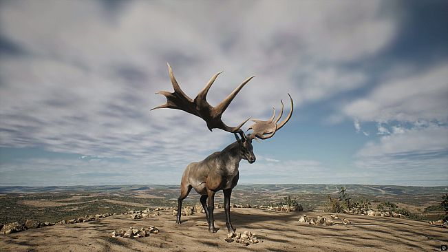 PROJECT HUNT - LONE STAR HUNTING RANCH