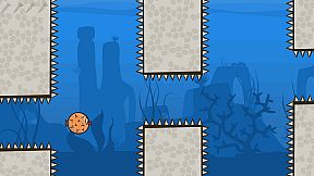 Blow Fish Music Quiz