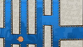 Blow Fish Music Quiz