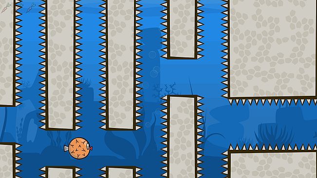 Blow Fish Music Quiz