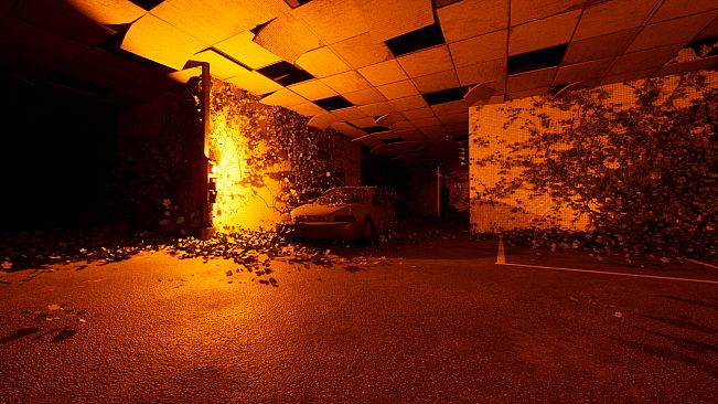 The Upper Downer Complex