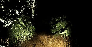 Sciophobia: The Fear of Shadows