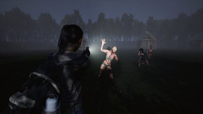 Aftermath Z: Red Pine Lake