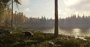 theHunter: Call of the Wild - Labrador Retriever