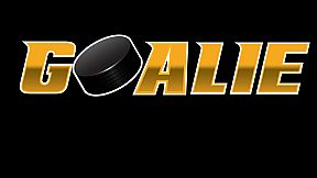 Goalie VR