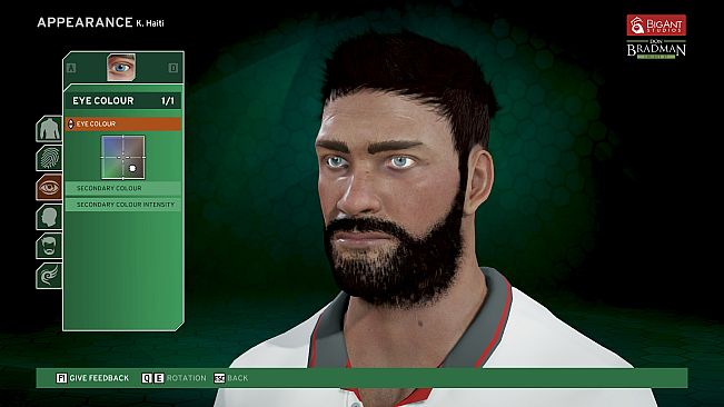 Don Bradman Cricket 17 Demo