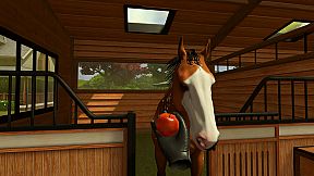 Rival Stars Horse Racing: VR Edition