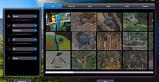 Let's Play Jigsaw Puzzles: Birds