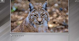 Super Jigsaw Puzzle: Generations - Random Animals Puzzles