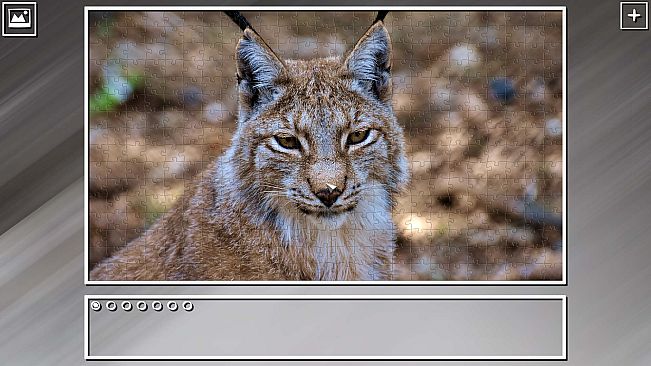 Super Jigsaw Puzzle: Generations - Random Animals Puzzles