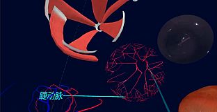 眼睛（眼球）结构研究