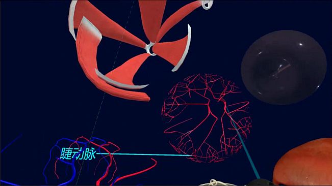 眼睛（眼球）结构研究