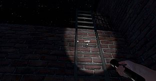 The Greys: Human Abductions