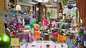 Sweet Home: Look and Find Collector's Edition