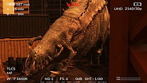 Fire of Life: New Day