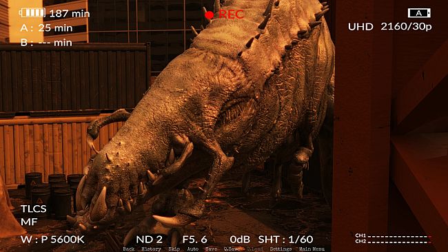 Fire of Life: New Day