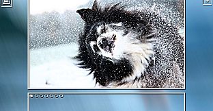 Super Jigsaw Puzzle: Generations - Dogs Puzzles