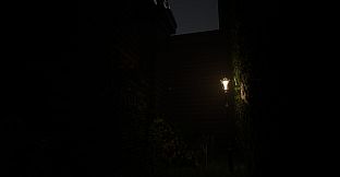 Reverie: Who will Remember You