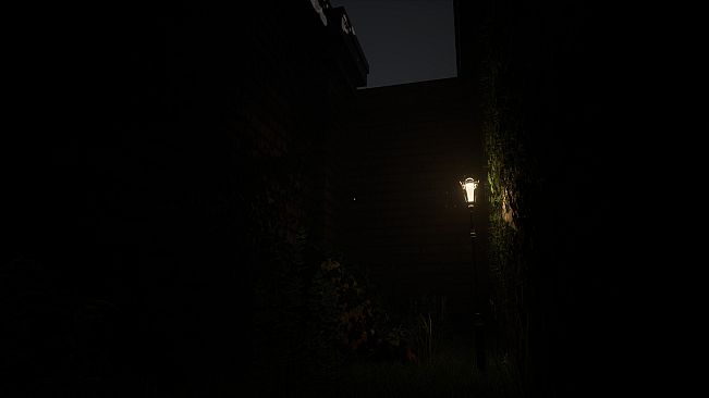 Reverie: Who will Remember You