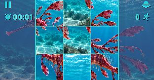 Puzzle Seahorses