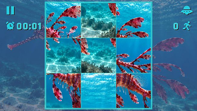 Puzzle Seahorses