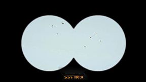 Duck Hunting Challenge