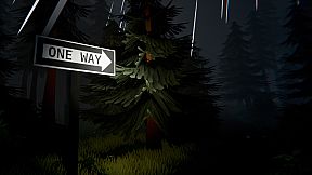 The Things I Left Behind