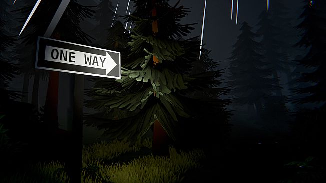 The Things I Left Behind