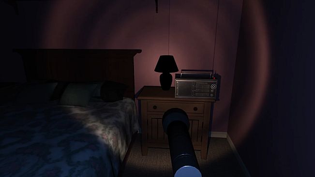 The Obsessive Shadow