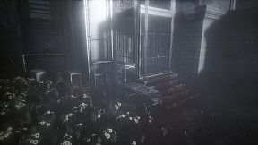 The Butterfly Sign: Human Error