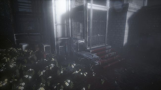 The Butterfly Sign: Human Error