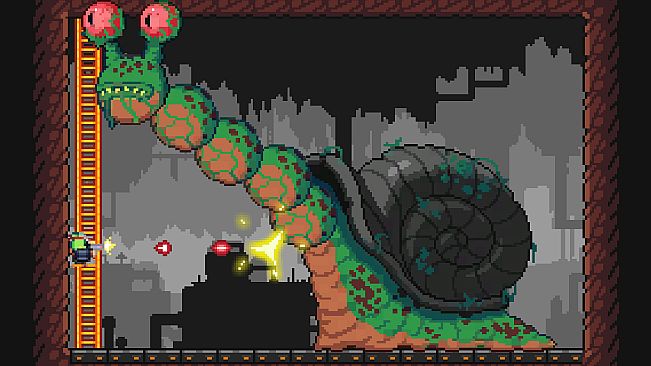 M.A.D. Cows and D.U.M.B. Ducks Bundle