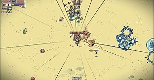 Whiskers In The Sand