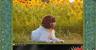 Jigsaw Puzzle Pack - Pixel Puzzles Ultimate: Variety Pack 22