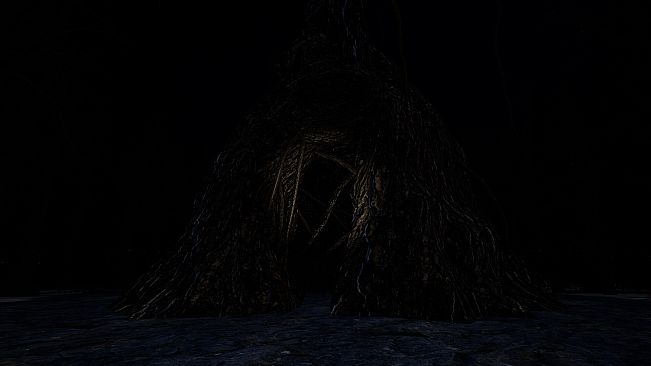 The Woods