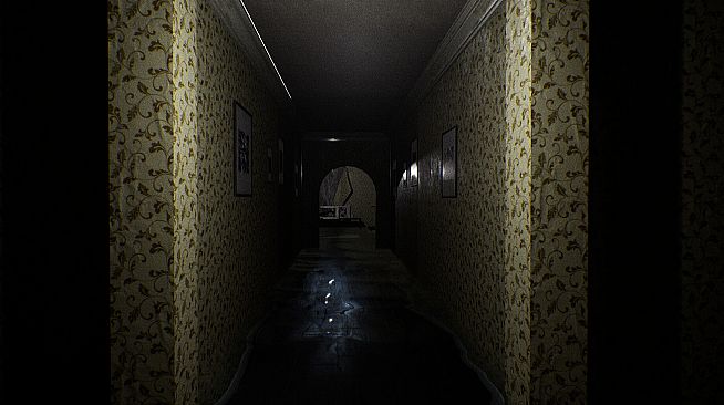 The Backrooms Deluxe