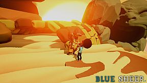 Blue Sheep