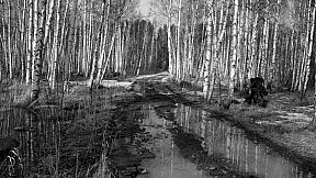 Russian Psychiatric Pastoral: Prologue