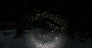 Midnight News Report