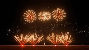 FWsim - Fireworks Display Simulator