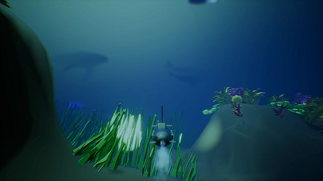 Legacies: Conservation and Sabotage