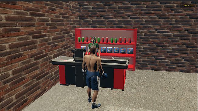 Boxing Life Simulator