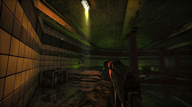 Dark Skies: The Nemansk Incident