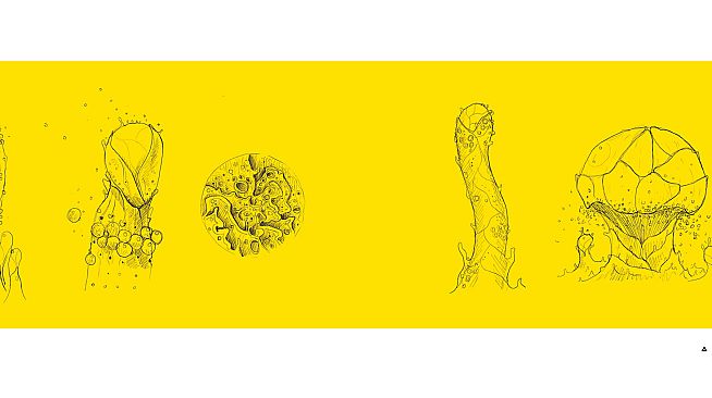 In Other Waters: A Study of Gliese 667Cc