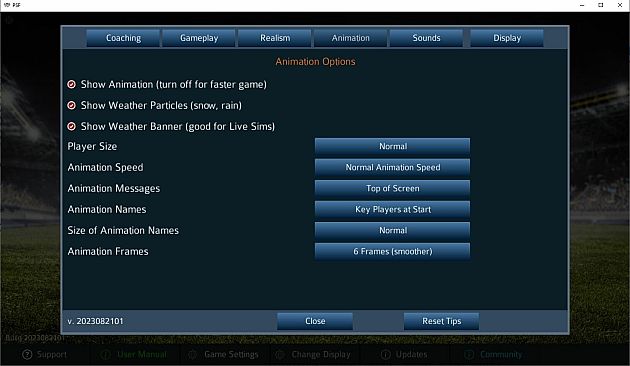 Pro Strategy Football 2023