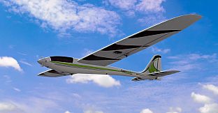 RealFlight Evolution - E-flite UMX Conscendo