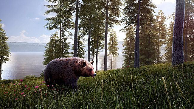 Hunting Simulator 2 - Bear Hunter Edition