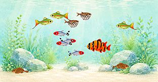 Aquarium Days