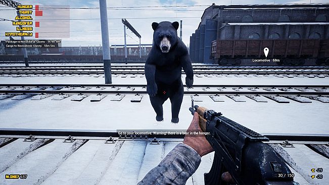 Trans-Siberian Railway Simulator