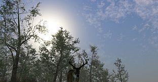 Pro Deer Hunting 2